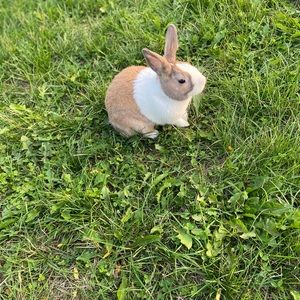 Meet your Posher, Katherine